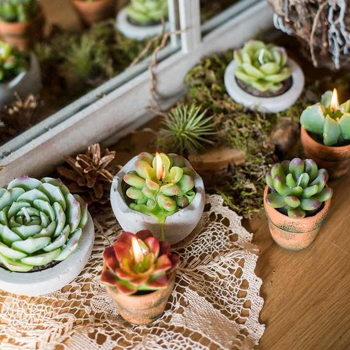 Cactus Shaped Candle